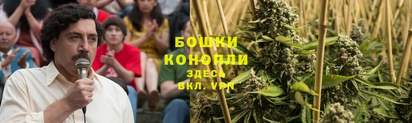 спайс Алексин
