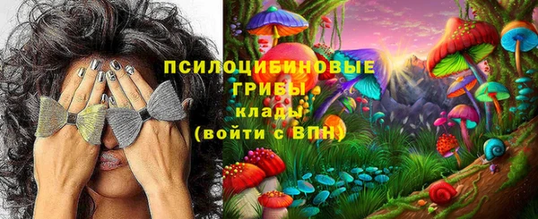 спайс Алексин