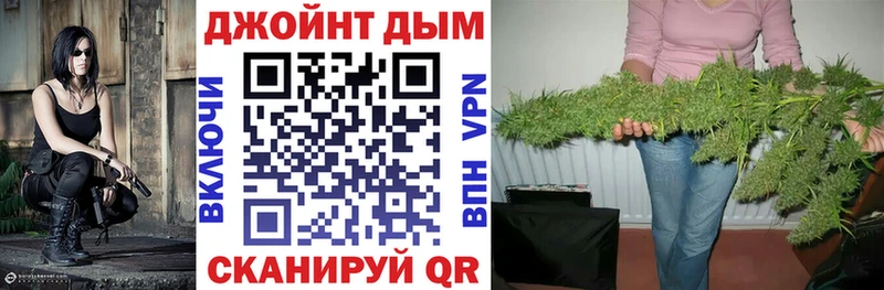 Бошки марихуана сатива купить закладку Кириши